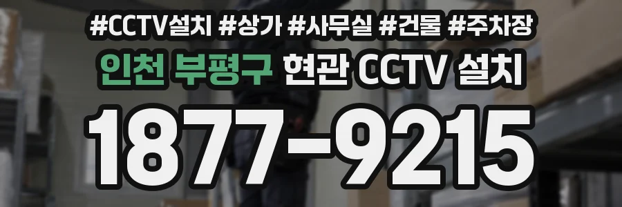 인천 부평구 현관 CCTV 설치