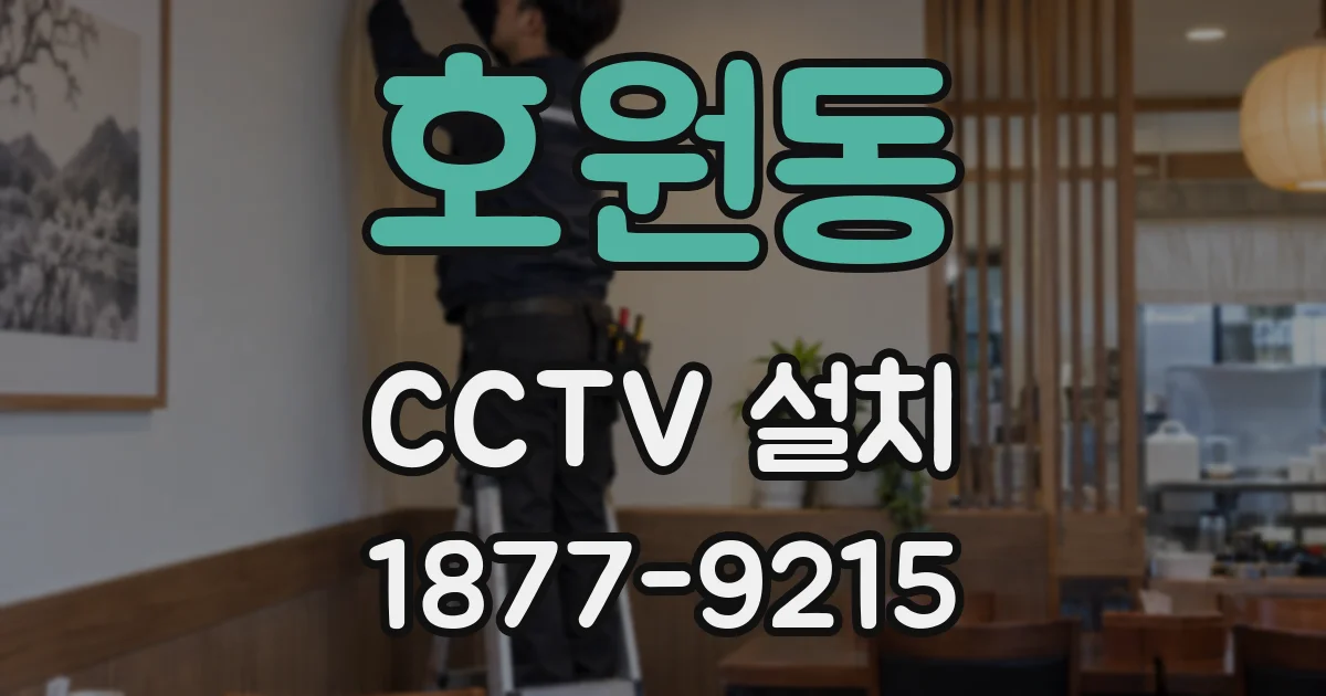 호원동 CCTV 설치
