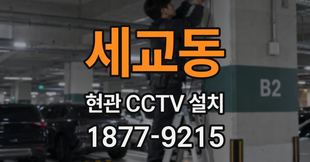 세교동 현관 CCTV 설치