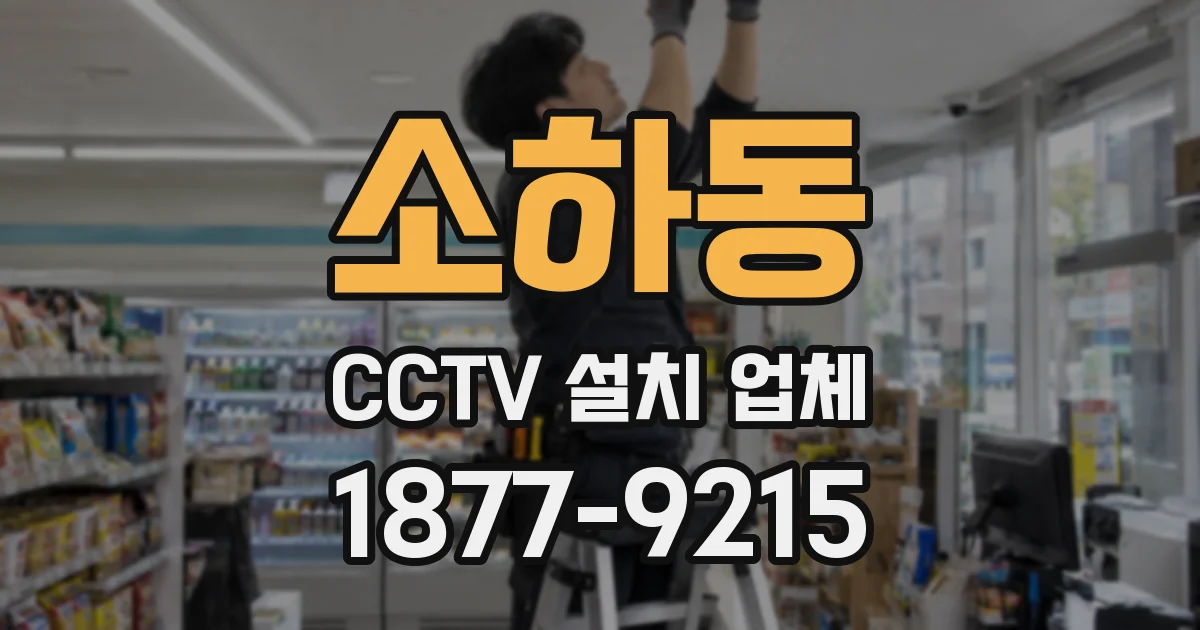 소하동 CCTV 설치 업체