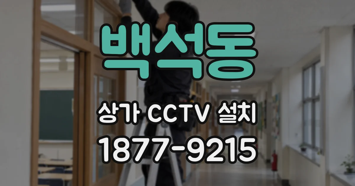 백석동 상가 CCTV 설치