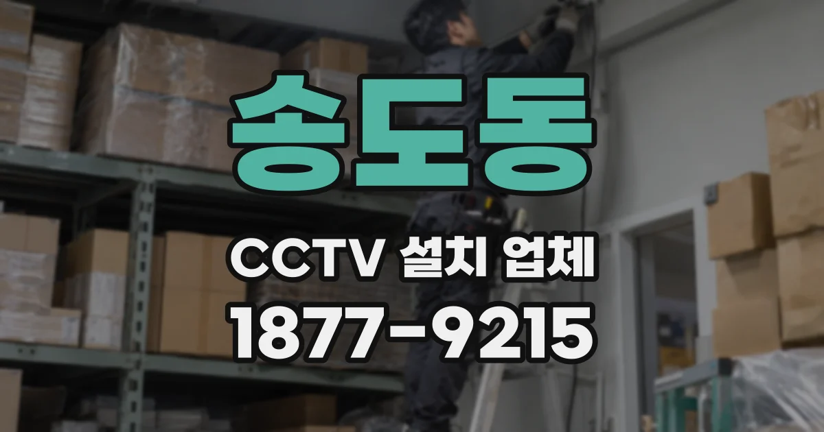 송도동 CCTV 설치 업체