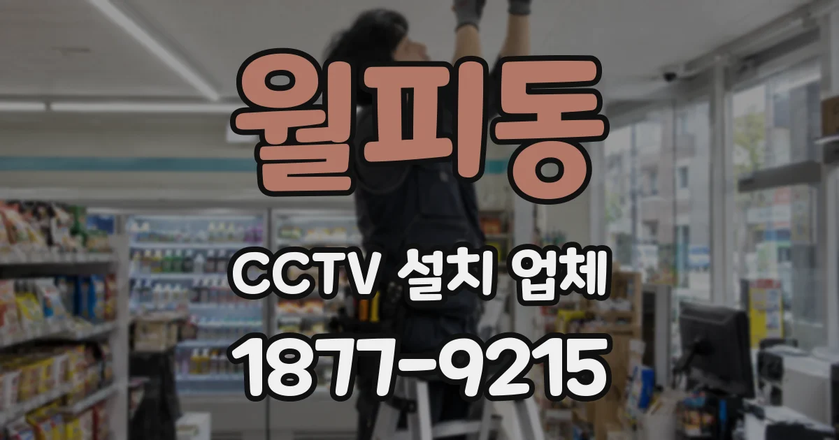 월피동 CCTV 설치 업체
