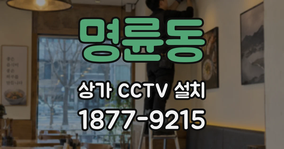 명륜동 상가 CCTV 설치