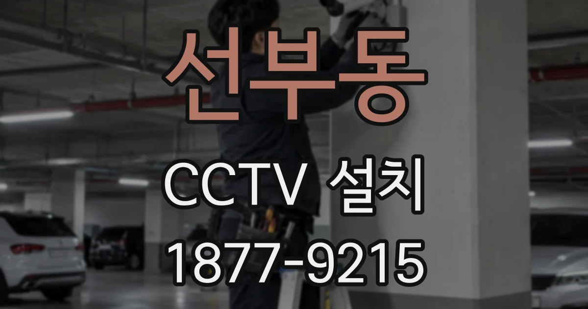 선부동 CCTV 설치