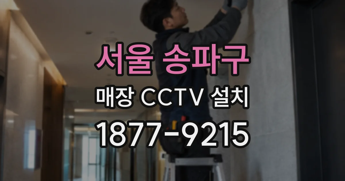 서울 송파구 매장 CCTV 설치