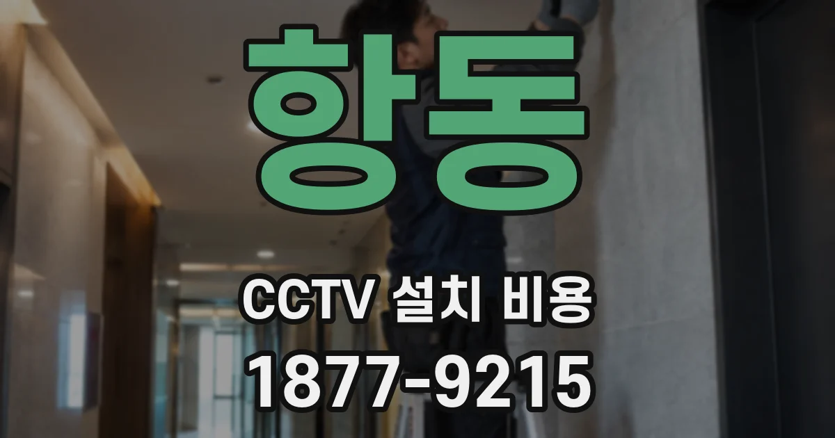 항동 CCTV 설치 비용