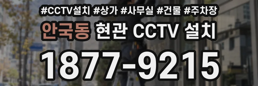 안국동 현관 CCTV 설치