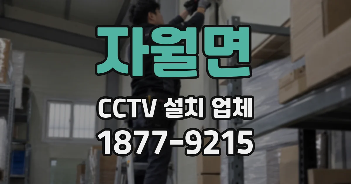 자월면 CCTV 설치 업체