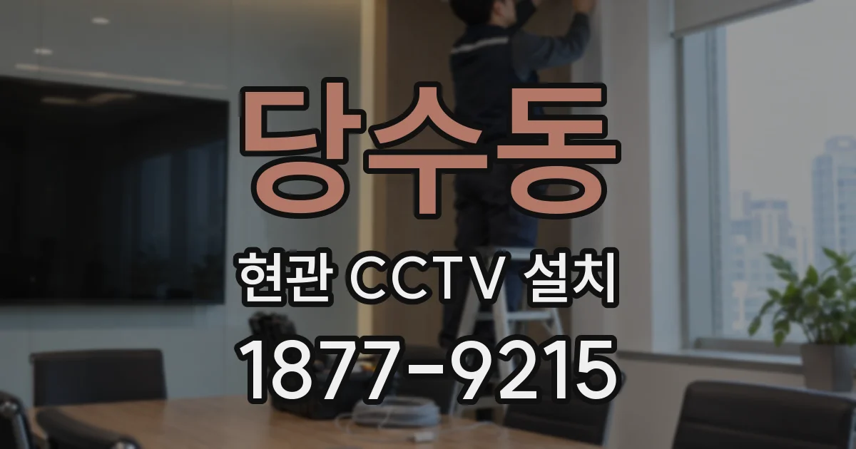 당수동 현관 CCTV 설치