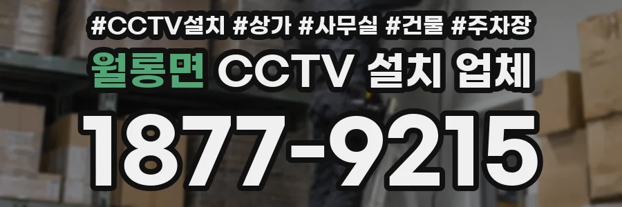 월롱면 CCTV 설치 업체