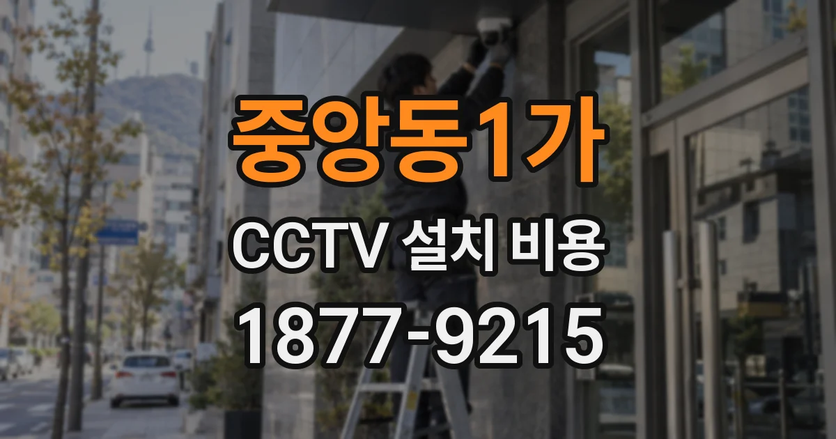 중앙동1가 CCTV 설치 비용