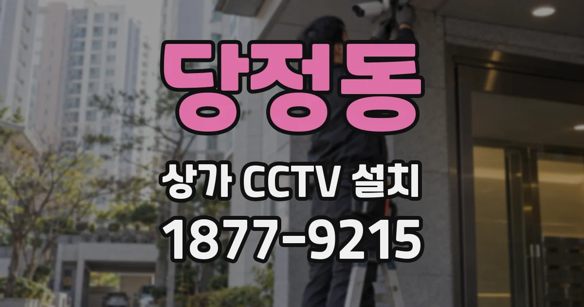 당정동 상가 CCTV 설치