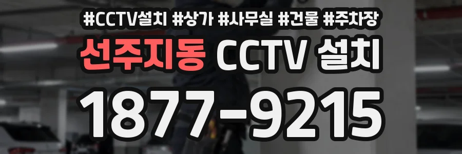 선주지동 CCTV 설치