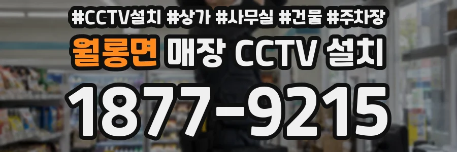 월롱면 매장 CCTV 설치