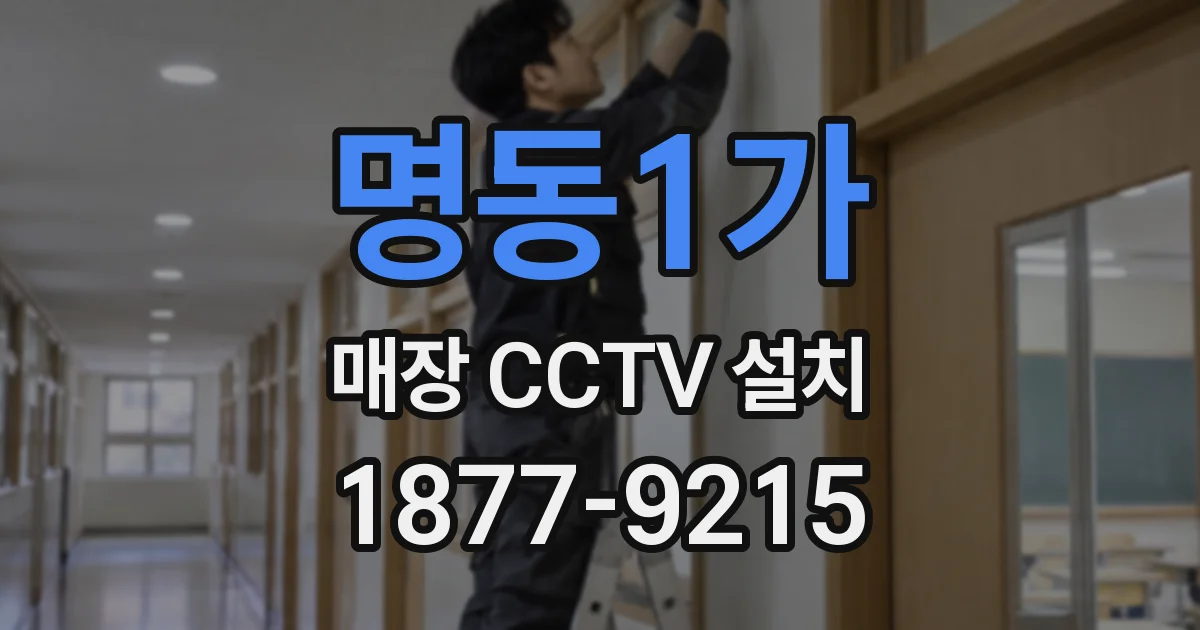 명동1가 매장 CCTV 설치