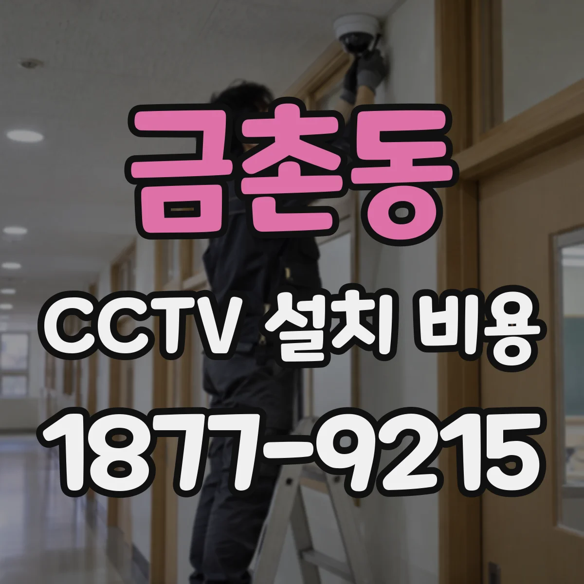 금촌동 CCTV 설치 비용