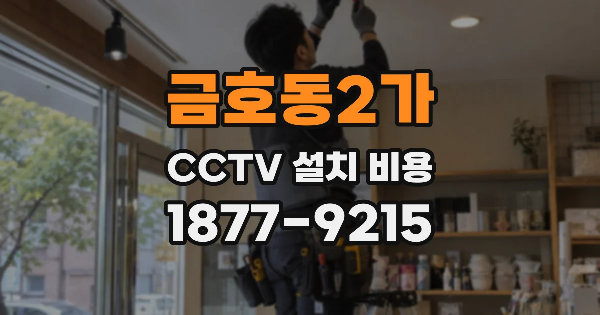 금호동2가 CCTV 설치 비용