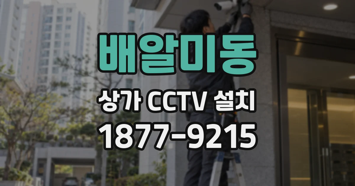 배알미동 상가 CCTV 설치