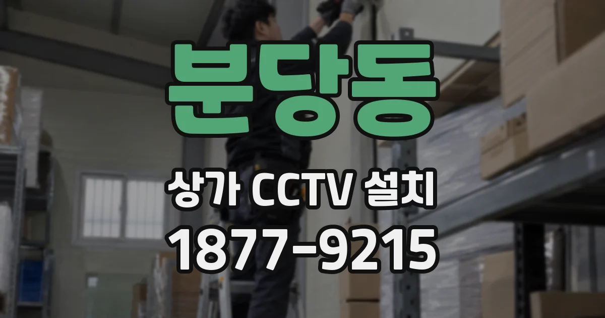 분당동 상가 CCTV 설치