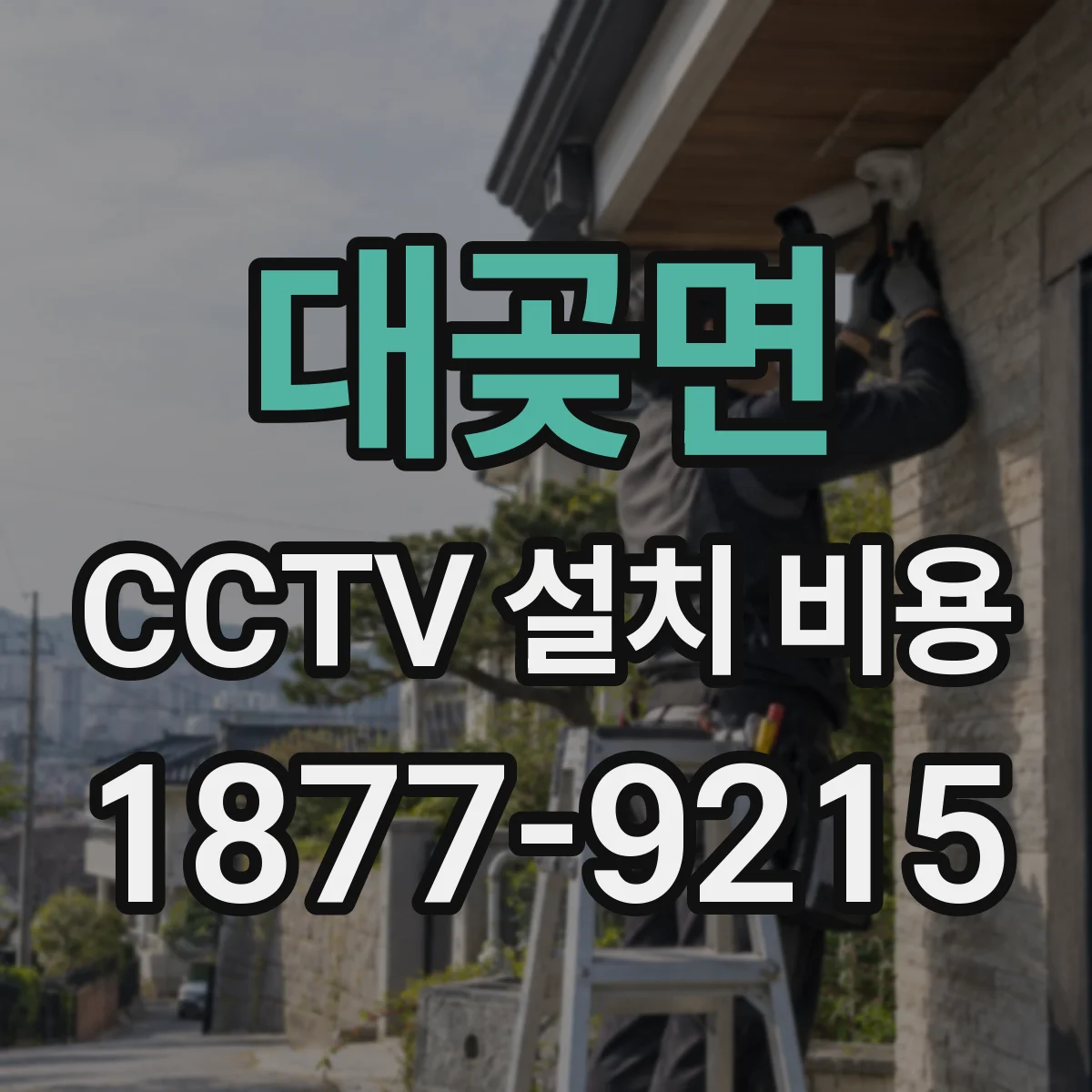 대곶면 CCTV 설치 비용