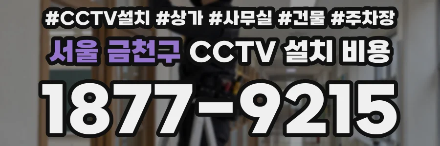 서울 금천구 CCTV 설치 비용