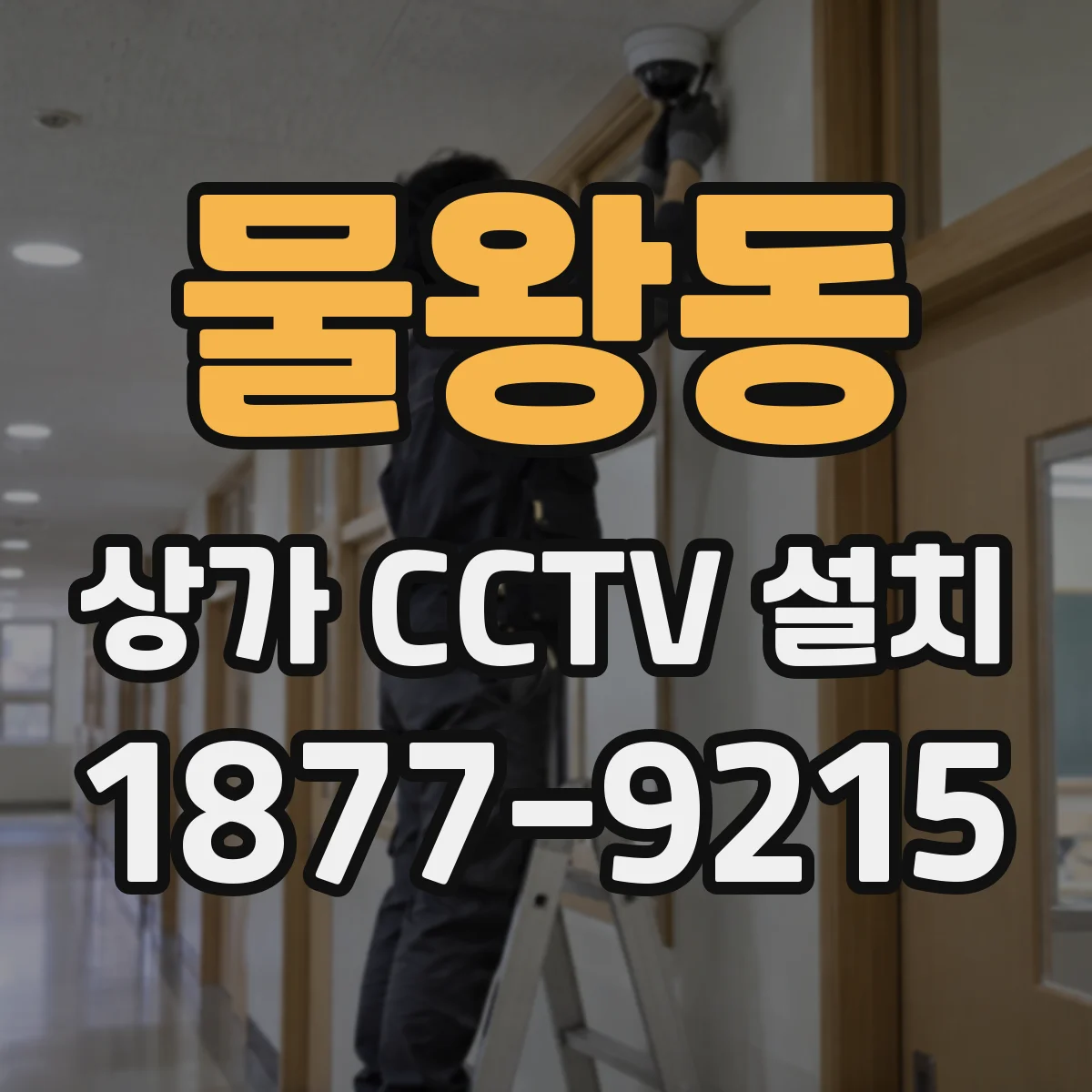 물왕동 상가 CCTV 설치