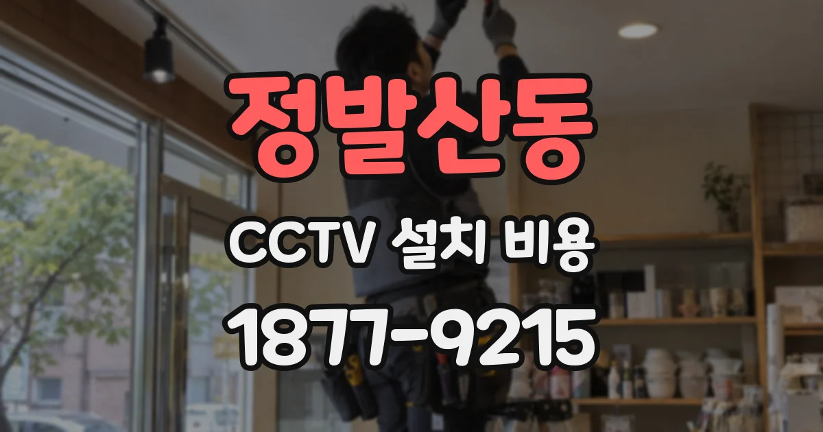 정발산동 CCTV 설치 비용