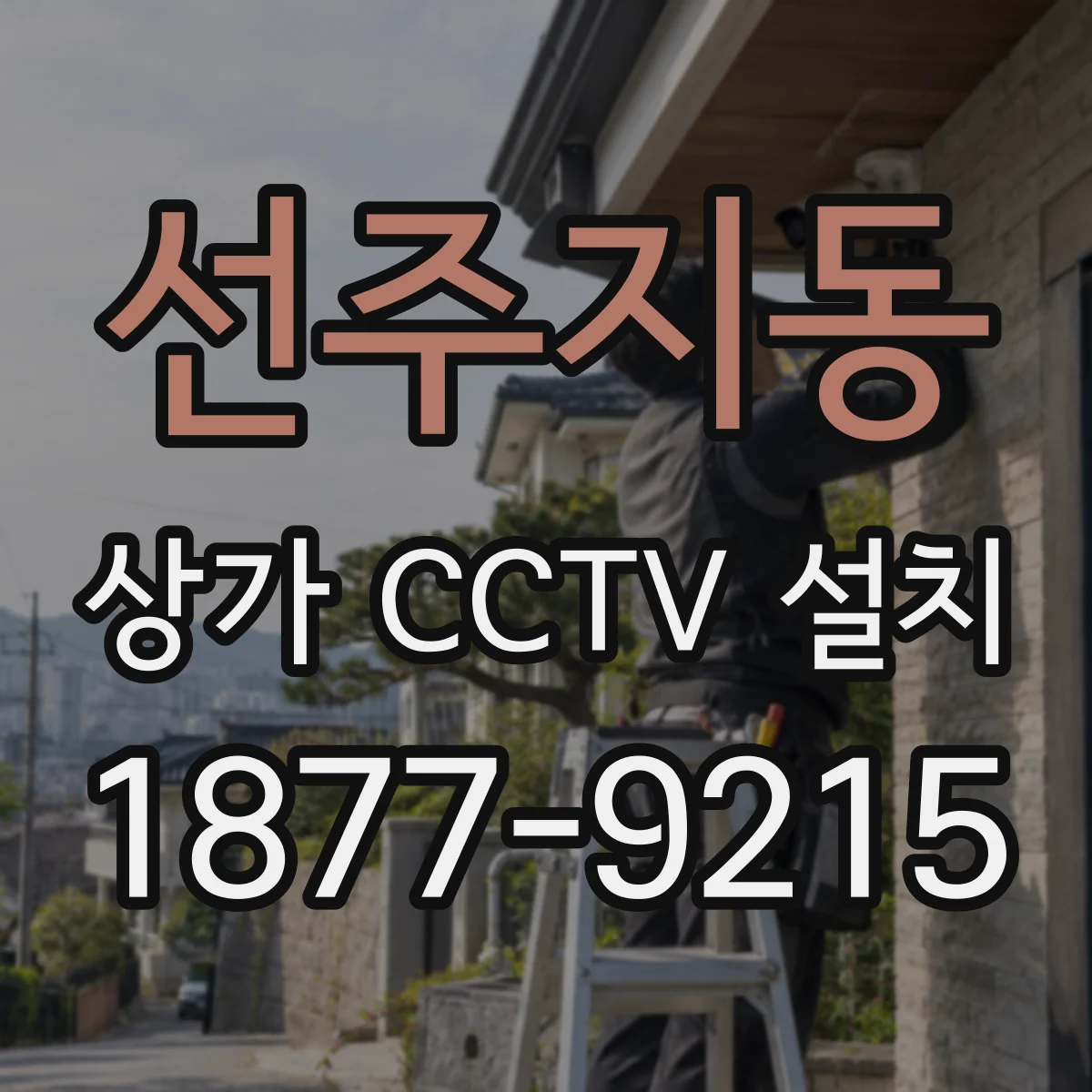 선주지동 상가 CCTV 설치