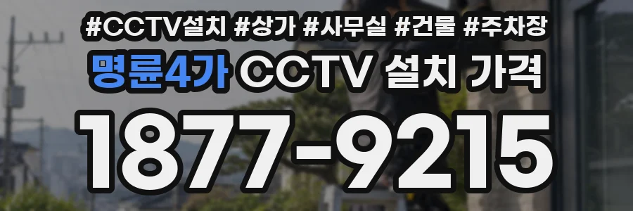 명륜4가 CCTV 설치 가격