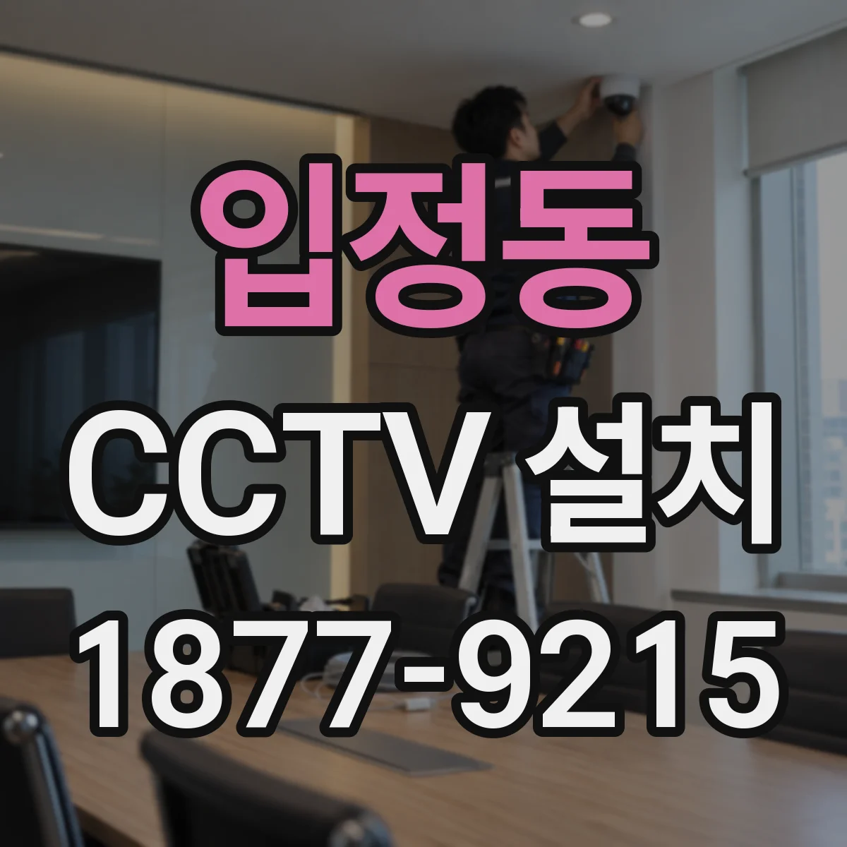 입정동 CCTV 설치