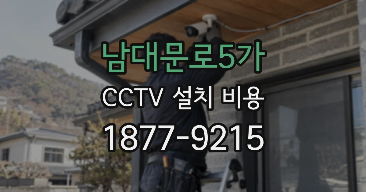 남대문로5가 CCTV 설치 비용