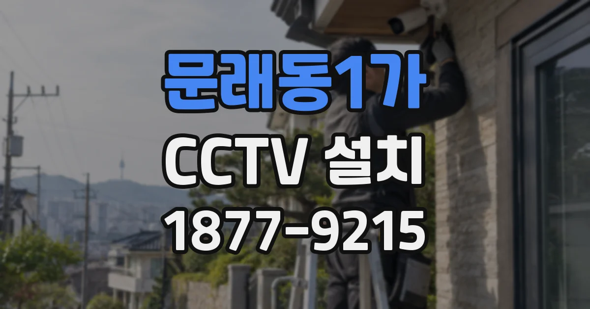문래동1가 CCTV 설치