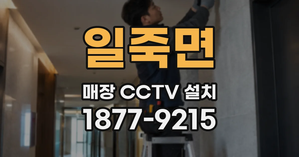 일죽면 매장 CCTV 설치