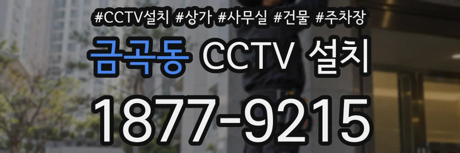 금곡동 CCTV 설치