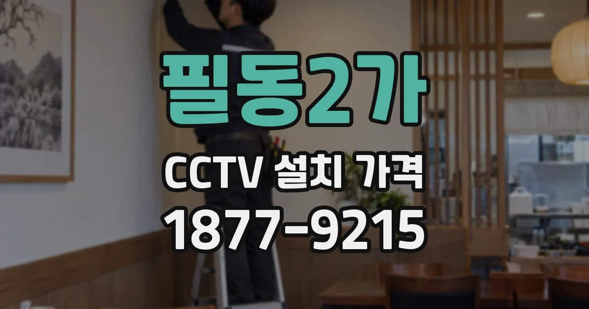 필동2가 CCTV 설치 가격