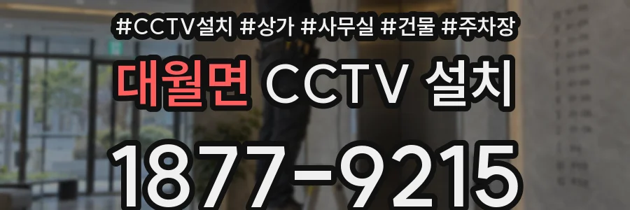 대월면 CCTV 설치