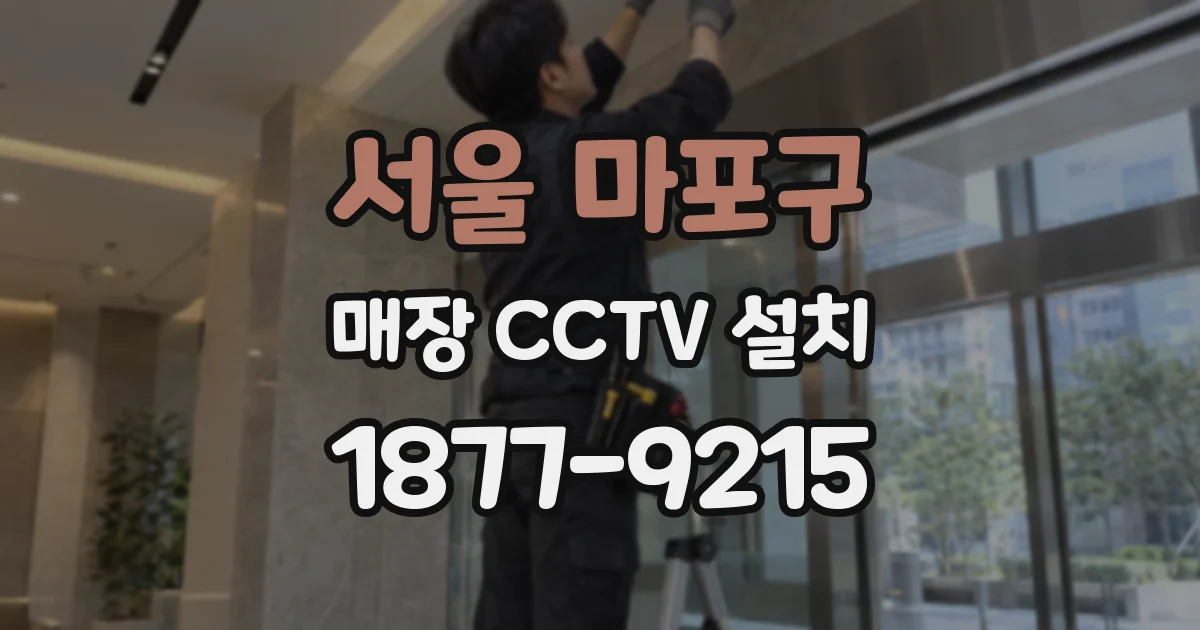 서울 마포구 매장 CCTV 설치