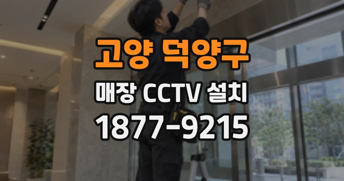 고양 덕양구 매장 CCTV 설치