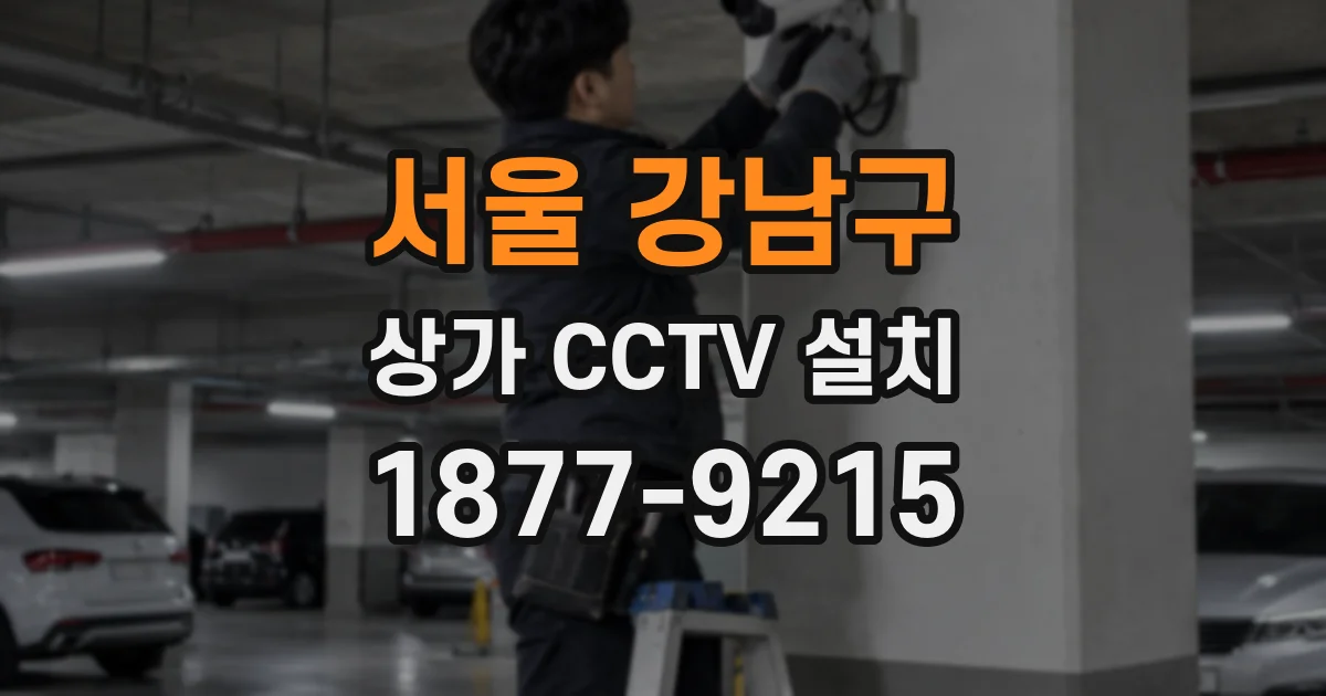 서울 강남구 상가 CCTV 설치