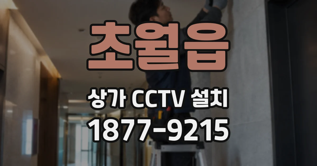 초월읍 상가 CCTV 설치