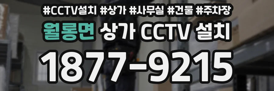 월롱면 상가 CCTV 설치