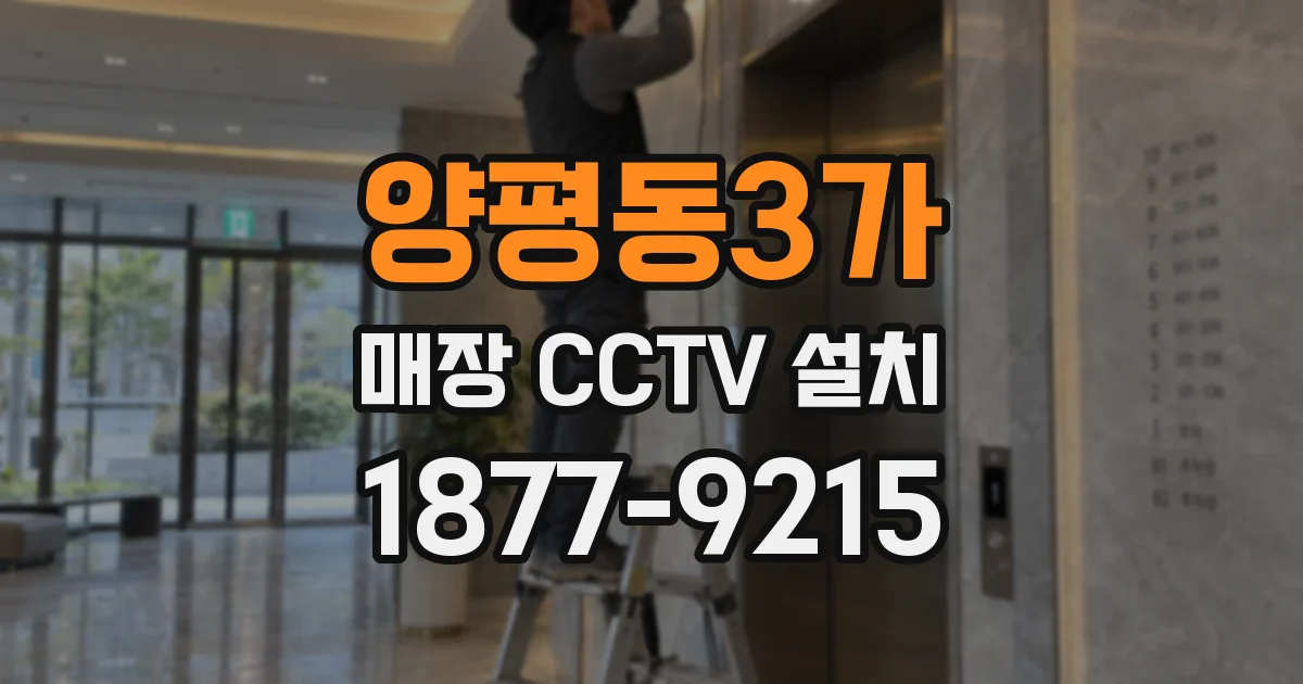 양평동3가 매장 CCTV 설치
