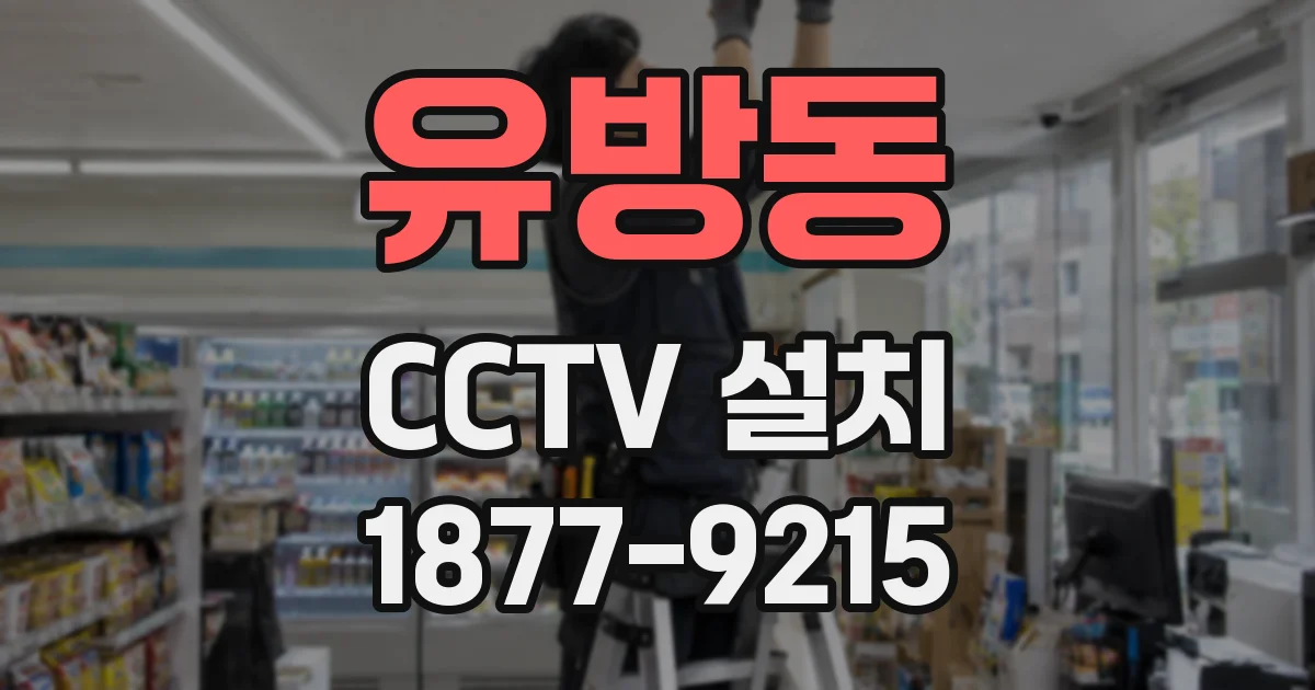유방동 CCTV 설치