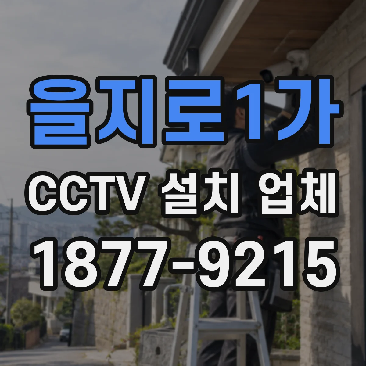 을지로1가 CCTV 설치 업체