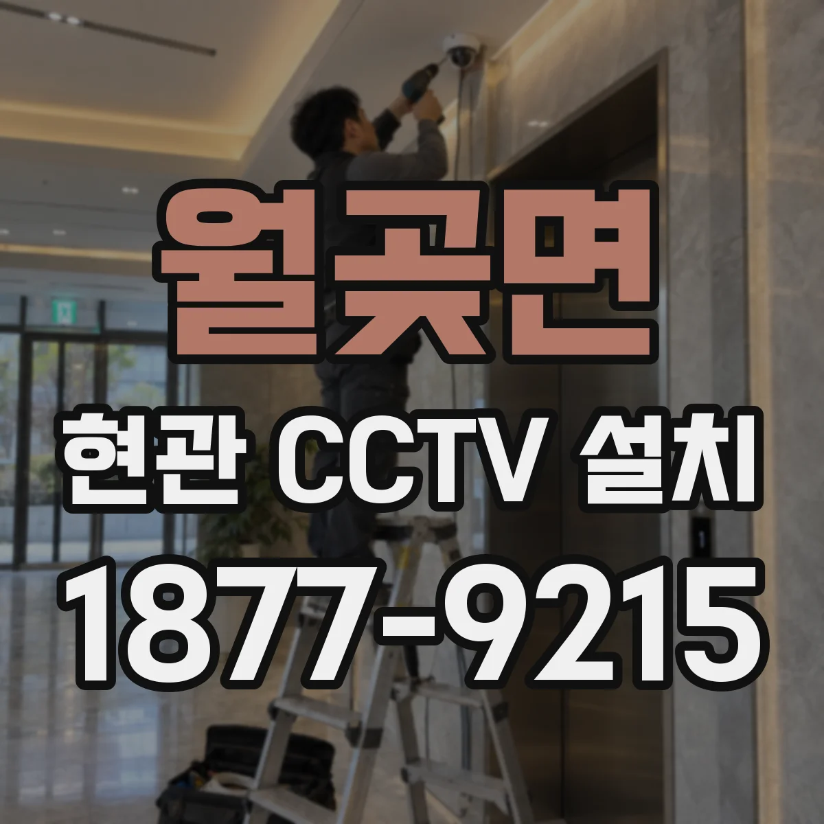 월곶면 현관 CCTV 설치