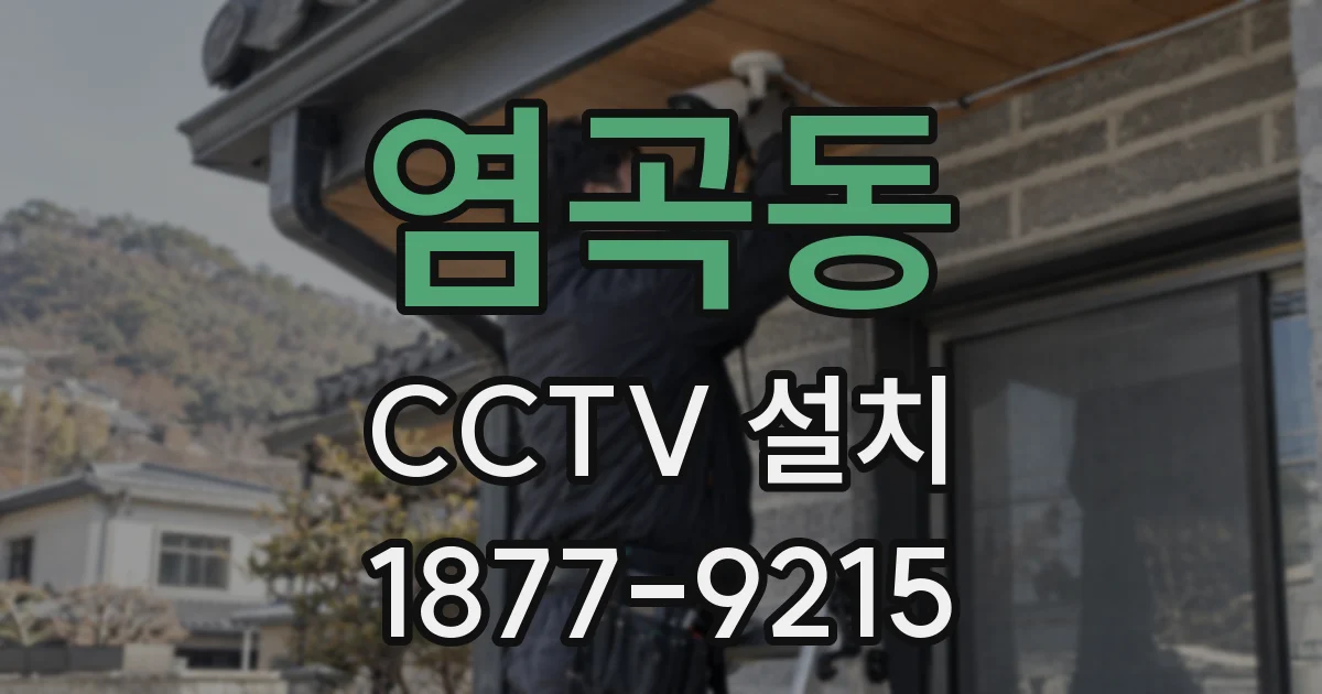 염곡동 CCTV 설치