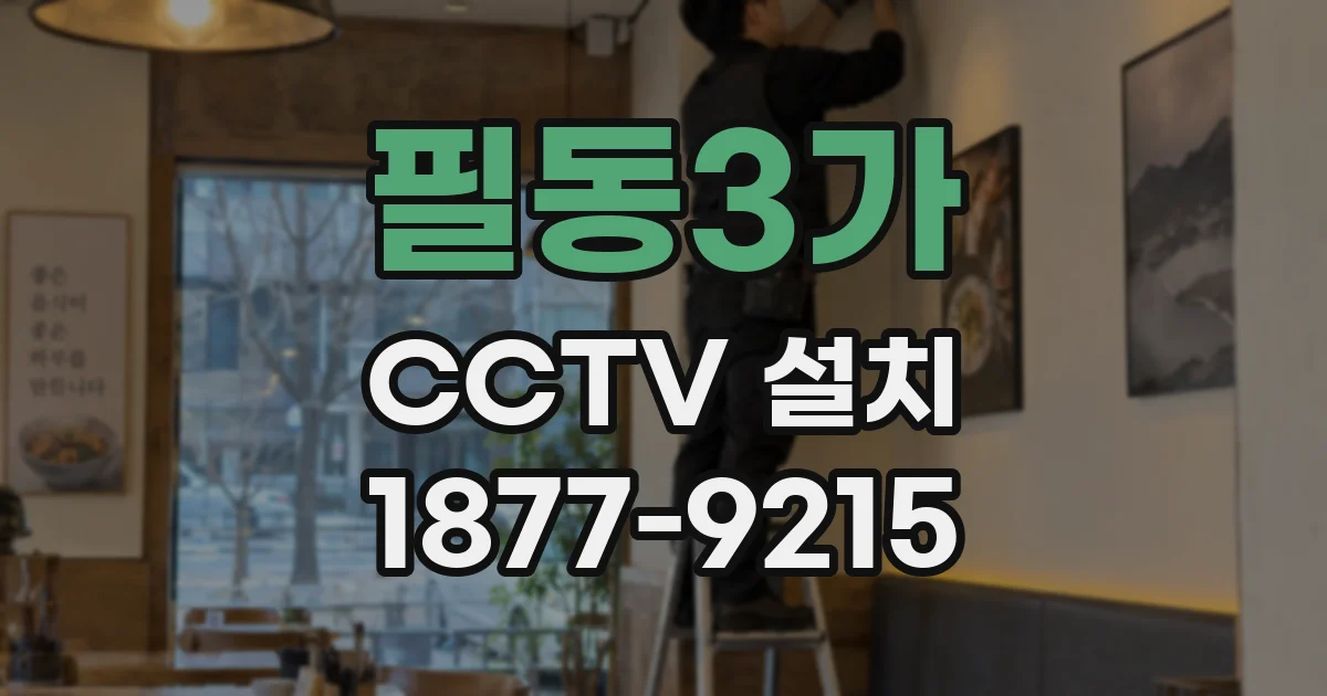 필동3가 CCTV 설치