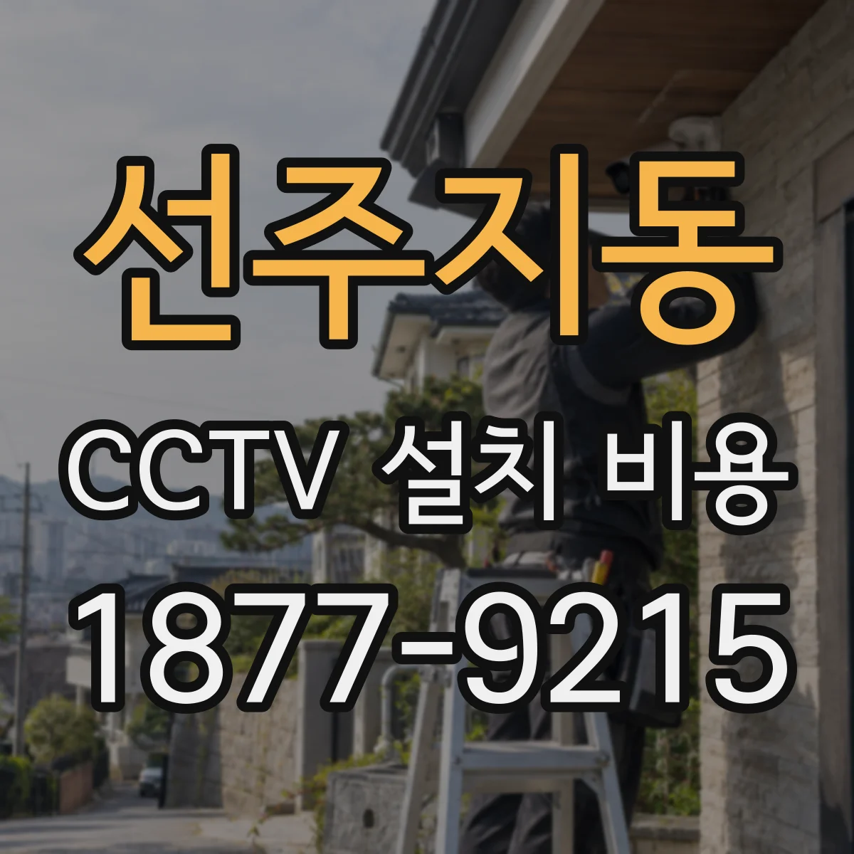 선주지동 CCTV 설치 비용