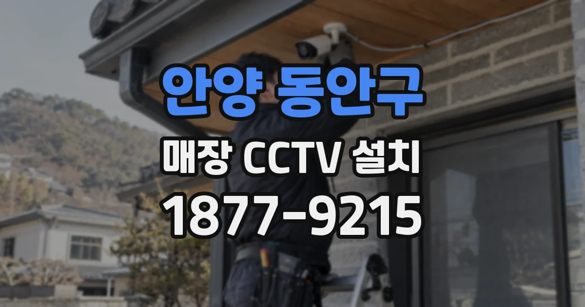 안양 동안구 매장 CCTV 설치